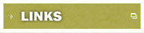 Links Our Selected Links
